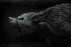 Scar
